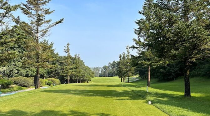 telek takarítás Szeged, telek takaritas szeged