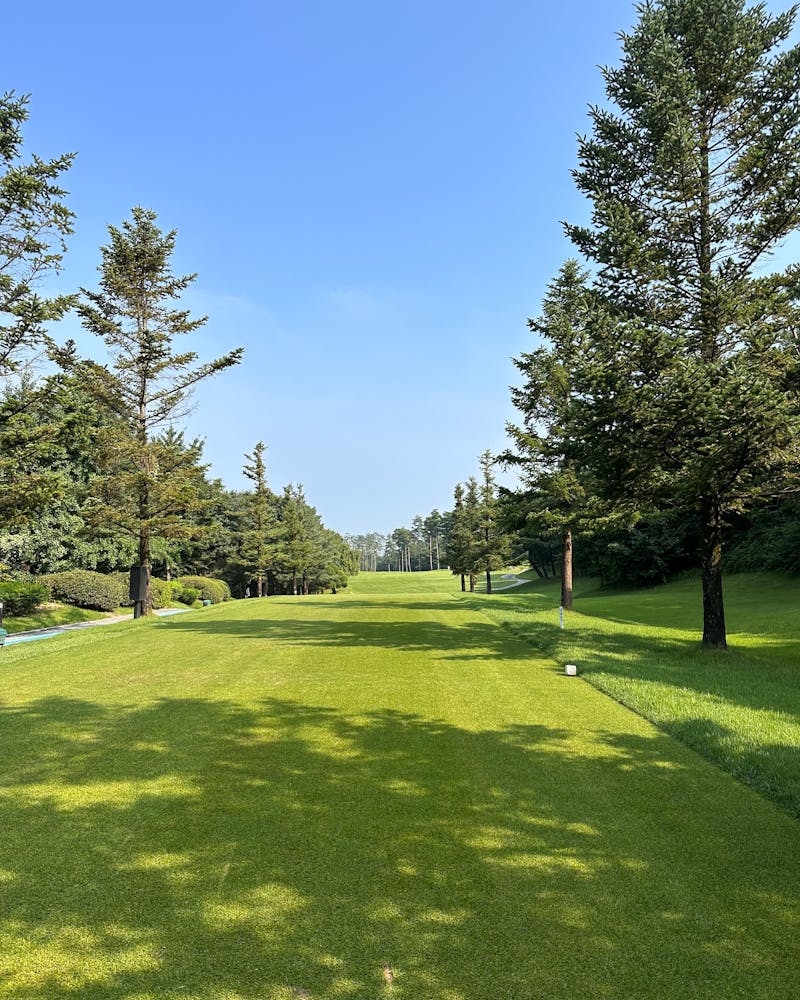 telek takarítás Szeged, telek takaritas szeged