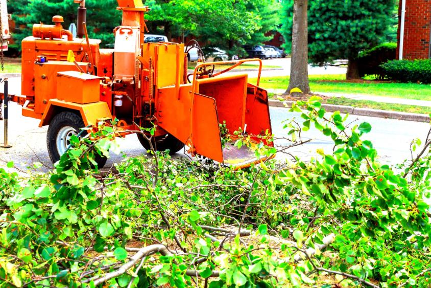 agdaralas szeged, ágdarálás Szeged