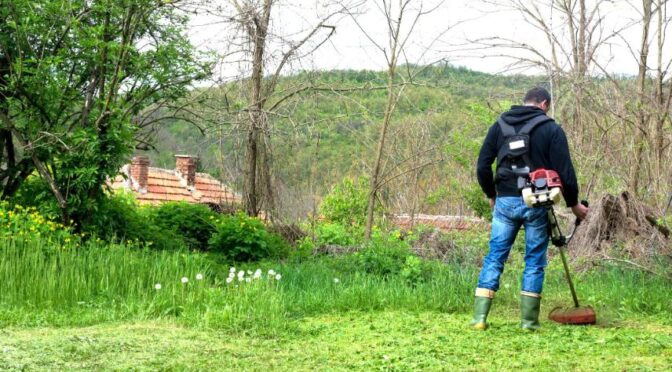 fűkaszálás Szeged, fukaszalas szeged