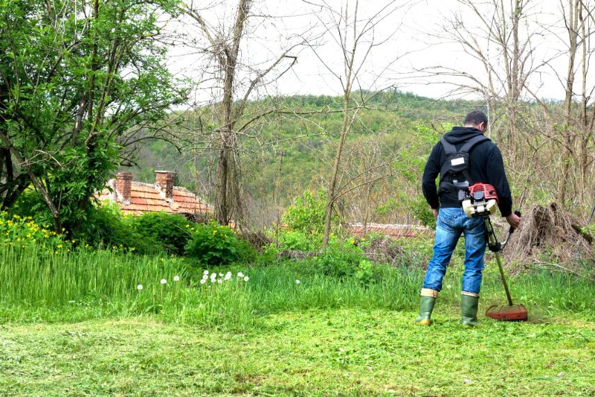 fűkaszálás Szeged, fukaszalas szeged