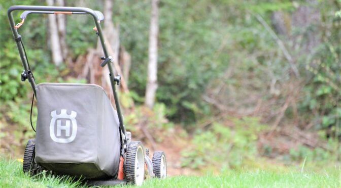 fűnyírás Szeged, funyiras szeged