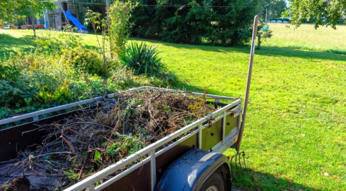 bozótirtás Szeged, bozotirtas szeged